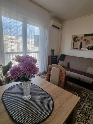 a vase of purple flowers on a table in a living room at Apartment Dorcol Belgrade in Belgrade
