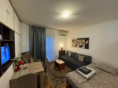 a living room with a couch and a tv at Apartment Dorcol Belgrade in Belgrade