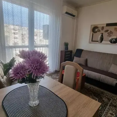 Apartment Dorcol Belgrade