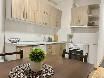 a kitchen with a table with a potted plant on it at BellaVista apartman in Stara Pazova
