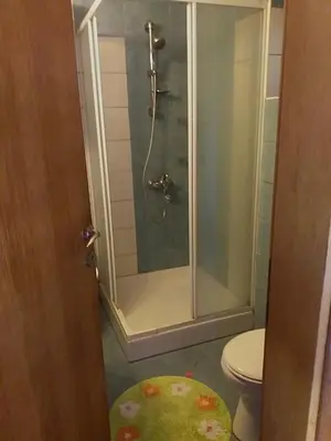 a bathroom with a shower and a toilet at Taras House in Zvezdara