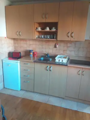 a kitchen with wooden cabinets and a sink at Taras House in Zvezdara