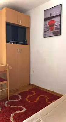 a living room with a television and a red carpet at Taras House in Zvezdara