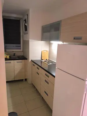 a kitchen with a white refrigerator and a sink at Agape Downtown in Belgrade