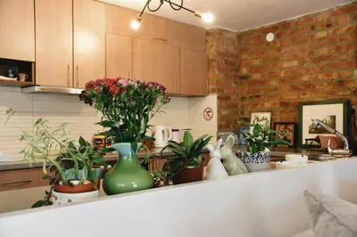 a kitchen counter with vases and plants on it at Vila Kraljev Breg Fruška Gora Pool and Padel in Čortanovci