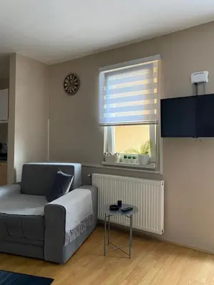 a living room with a couch and a window at Apartman Stojadinović in Ruma