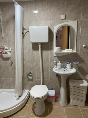 a bathroom with a toilet and a sink and a shower at Apartman Stojadinović in Ruma