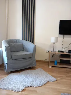 a living room with a chair and a rug at Libero78 in Vračar (historical)