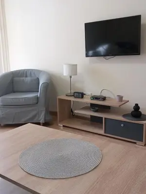 a living room with a couch and a television on a wall at Libero78 in Vračar (historical)