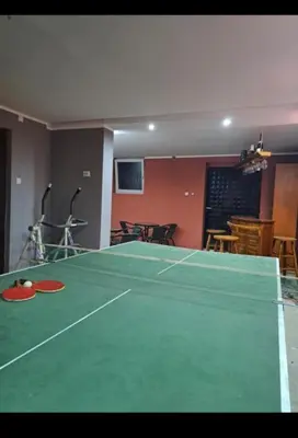a ping pong table in a room with a ping pong ball at Happy House in Belgrade