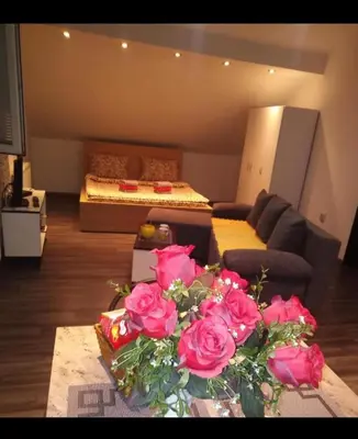 a living room with a couch and roses on a table at Happy House in Belgrade