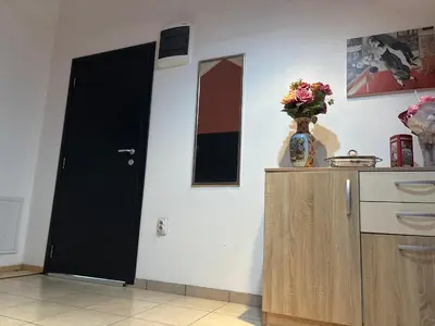 a kitchen with a black door and a vase of flowers at Happy House in Belgrade