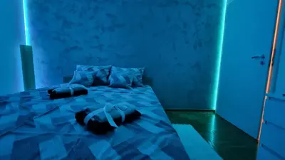 a blue room with a bed with two pillows at Apartman Nikola in Žarkovo