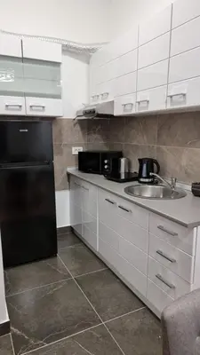 a kitchen with a black refrigerator and a sink at Alek Place in Novi Beograd