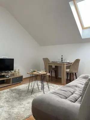 a living room with a couch and a table at Despot apartmani in Mladenovac