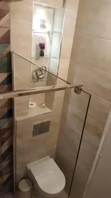a bathroom with a toilet and a glass shelf at Apartment Div 3 in Dušanovac (historical)