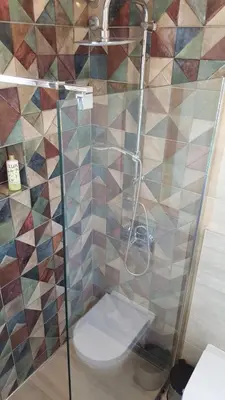 a bathroom with a shower with a toilet at Apartment Div 3 in Dušanovac (historical)