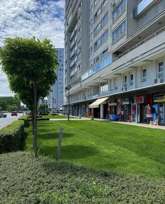 a tree in the grass in front of a building at Apartment Belville, Suncokret 26 in Novi Beograd