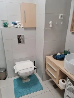 a small bathroom with a toilet and a sink at Dimiant Lux Apartment in Vračar (historical)