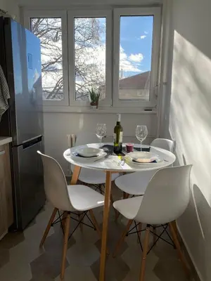 Gallery image of Cosy Apart Aca in Vračar (historical)