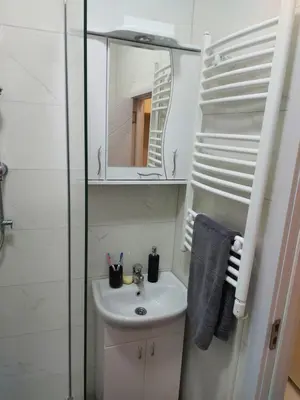 a bathroom with a sink and a mirror at Apartman mikikiki in Belgrade