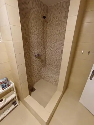 a walk in shower with a glass door in a bathroom at Apartment Fiesta in Novi Beograd