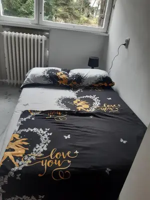 a bedroom with a bed with a black and gold blanket at Brdo lux in Belgrade