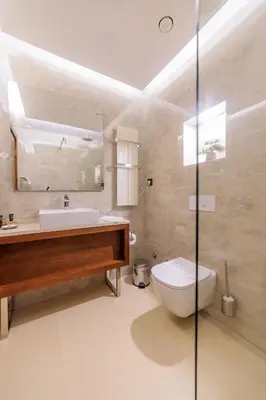 a bathroom with a toilet and a sink and a mirror at Hotel Tamiš & Spa in Pančevo