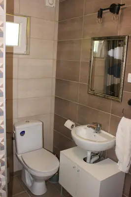a bathroom with a toilet and a sink at Buzzing Retreat in Velika Remeta