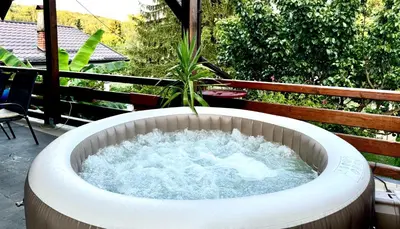 a bath tub filled with water with a plant in it at Buzzing Retreat in Velika Remeta