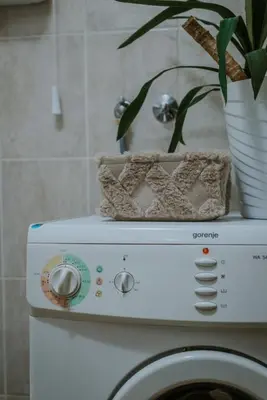 a plant sitting on top of a washing machine at Apartman David in Ruma