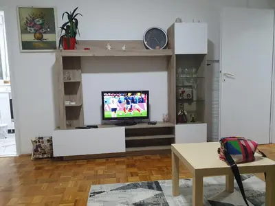 a living room with a flat screen tv on a wall at AS Apartment in Tošin Bunar