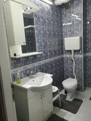 a bathroom with a sink and a toilet at AS Apartment in Tošin Bunar