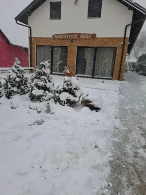 a snow covered yard in front of a building at Fruškogorski Đeram in Grgeteg