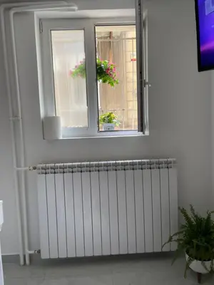 a radiator in a room with two windows and flowers at Alexandar13 in Belgrade