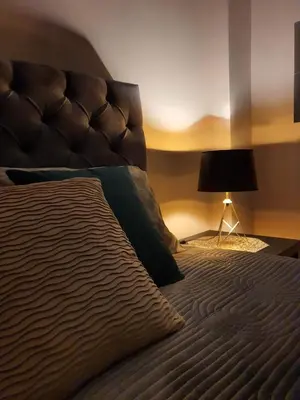 a bedroom with a large bed with a brown headboard at Emerald Apartment Belgrade in Senjak (historical)