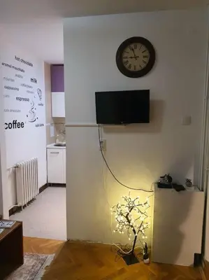 a room with a clock on the wall and a plant at Sunflower apartment in Žarkovo