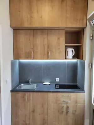 a kitchen with a sink and wooden cabinets at Centar 2 in Belgrade