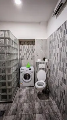 a bathroom with a toilet and a washing machine at ZELENI VENAC Studio & Apartment in Belgrade
