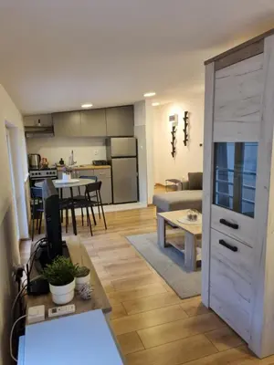 a living room and kitchen with a large open door at Apartment S in Belgrade