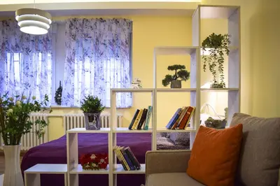 a living room with a couch and a shelf with books at Lana's home in the best part of the city in Vračar (historical)