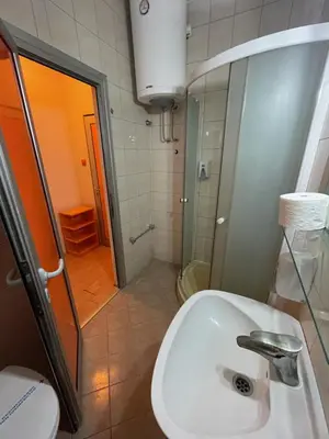 a bathroom with a sink and a shower at Hotel Villa Sarto in Belgrade