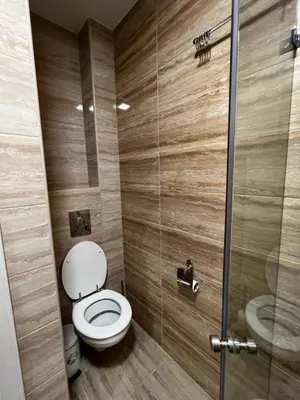 a bathroom with a toilet and a shower at Real Apartment Banovci in Novi Banovci