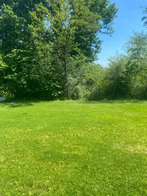 a field of green grass with a tree in the background at Kućica u šumici in Stojnik