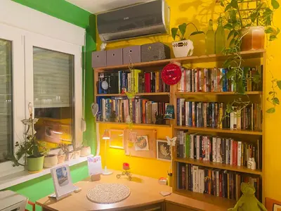 a room with a desk with a book shelf filled with books at Funkcionalna garsonjera u Zemunu in Zemun