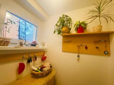 a kitchen with plants on the wall and a window at Funkcionalna garsonjera u Zemunu in Zemun
