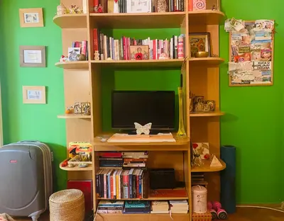 a book shelf with a monitor and a computer on it at Funkcionalna garsonjera u Zemunu in Zemun