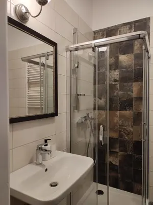 a bathroom with a sink and a glass shower at Belgrade apartment Bulevar II in Belgrade