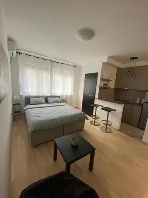 a bedroom with a bed and a table and a kitchen at Vist 1 apartment in Tošin Bunar