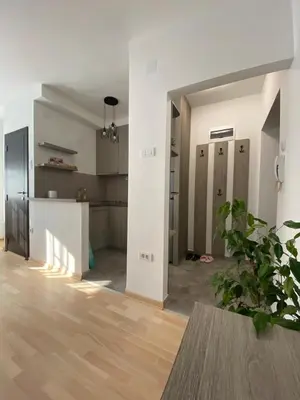 a living room with a kitchen and a hallway with a potted plant at Vist 1 apartment in Tošin Bunar